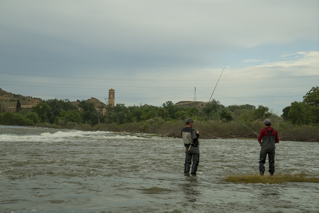 5 normas que hay que cumplir para pescar en el Ebro