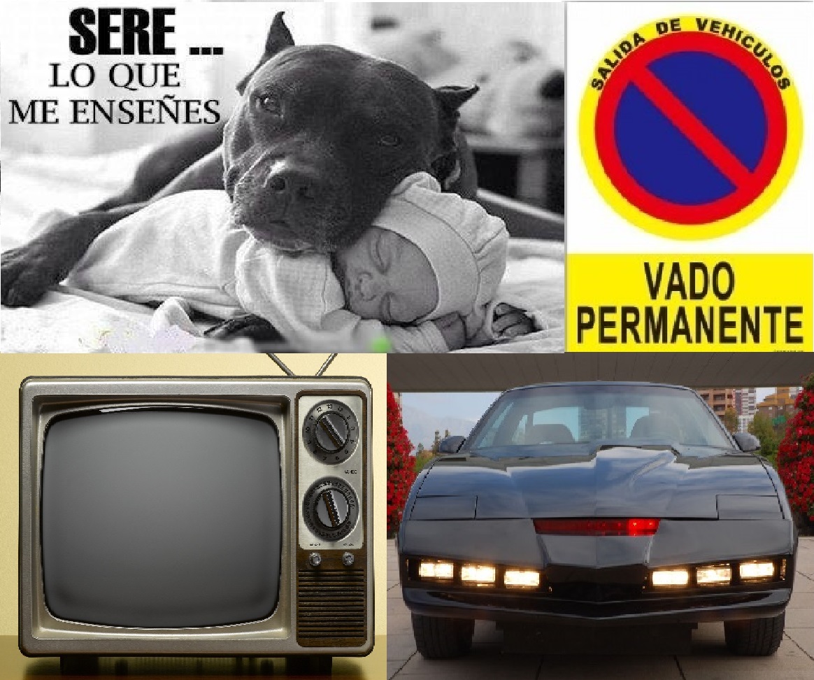 Cobro impuestos: Vehículos, perros y vados.