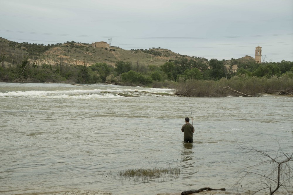 Los habitantes del río (1) Pesca: captura y suelta
