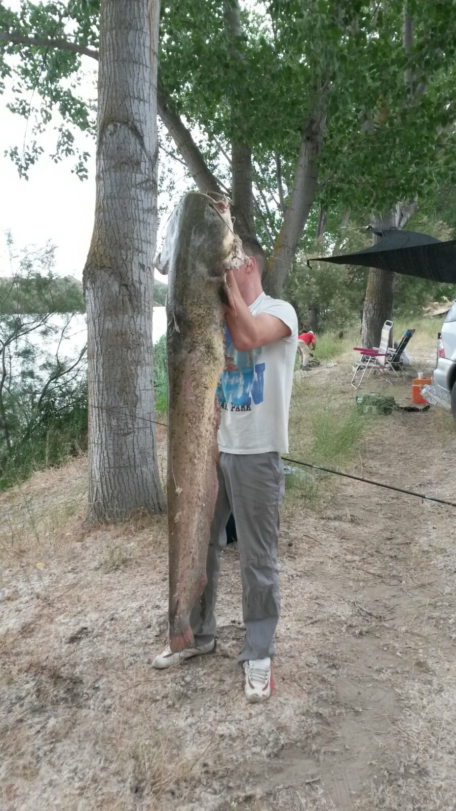 Pesca en el Ebro: no a la captura y suelta