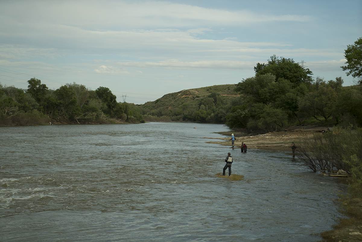 Suspensión cautelar del Plan General de Pesca de Aragón