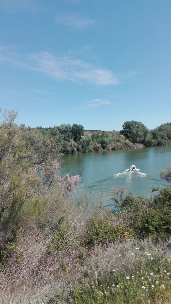 Ebro a su paso por Escatrón