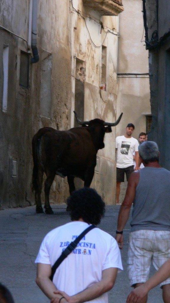 Vaquillas agosto 2016 Escatrón
