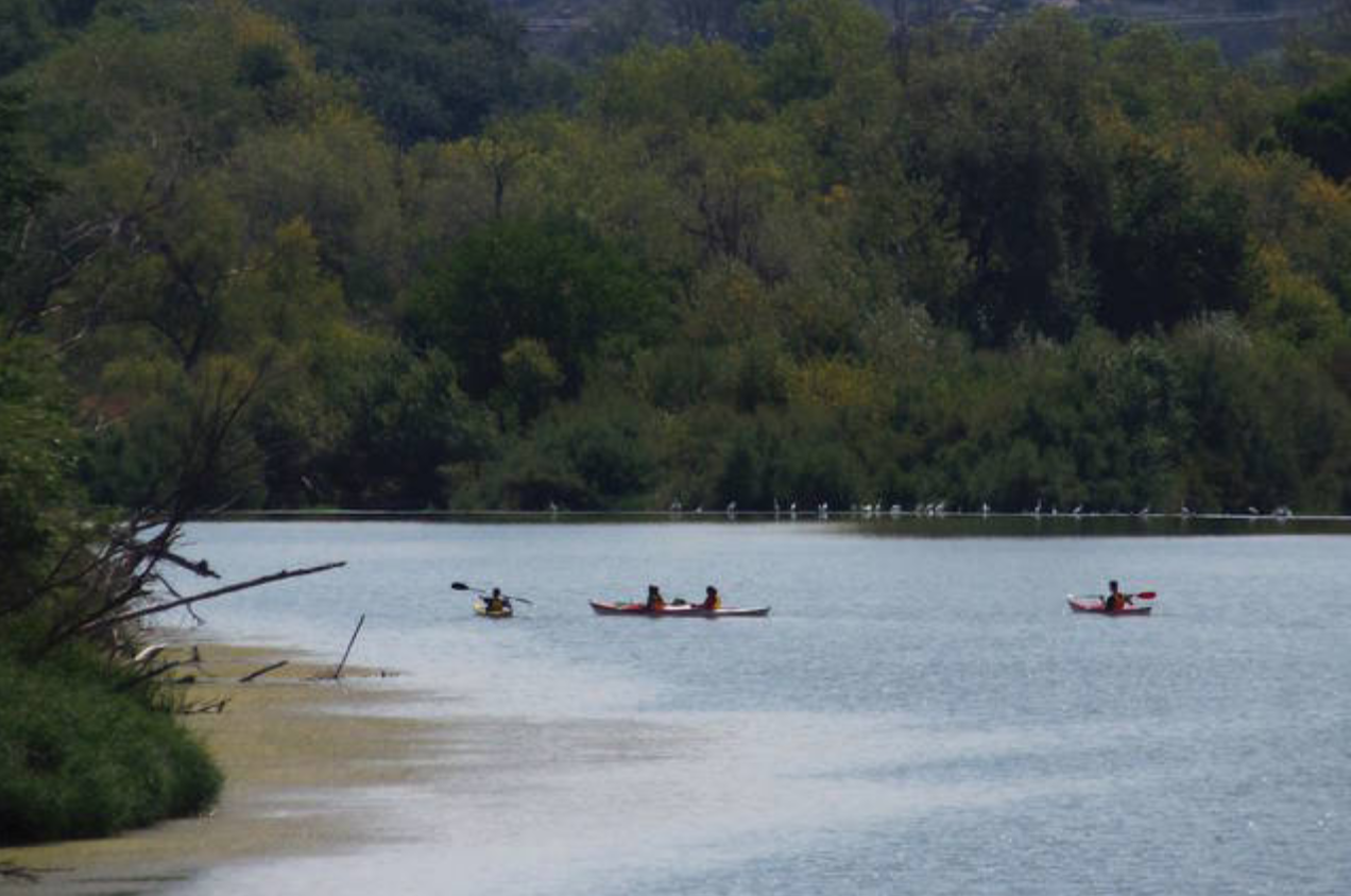 Escatrón invita a navegar por el Ebro: piraguas y kayaks